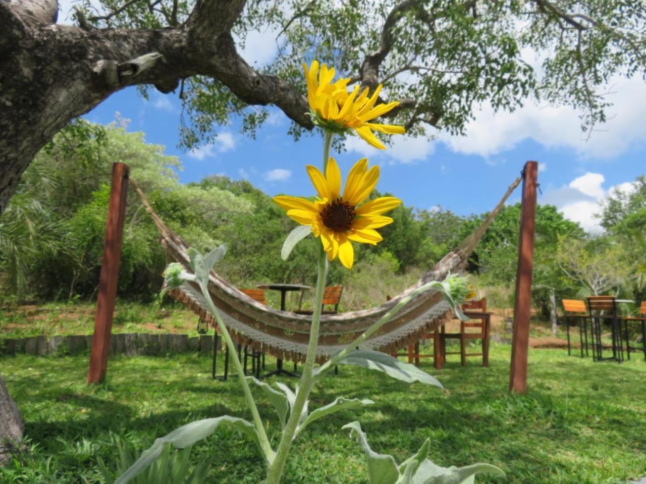 Naara Eco Lodge & Spa Chidenguele Kültér fotó